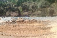 Foto Pekerjaan Proyek Peningkatan Jalan Desa Sungai Paur